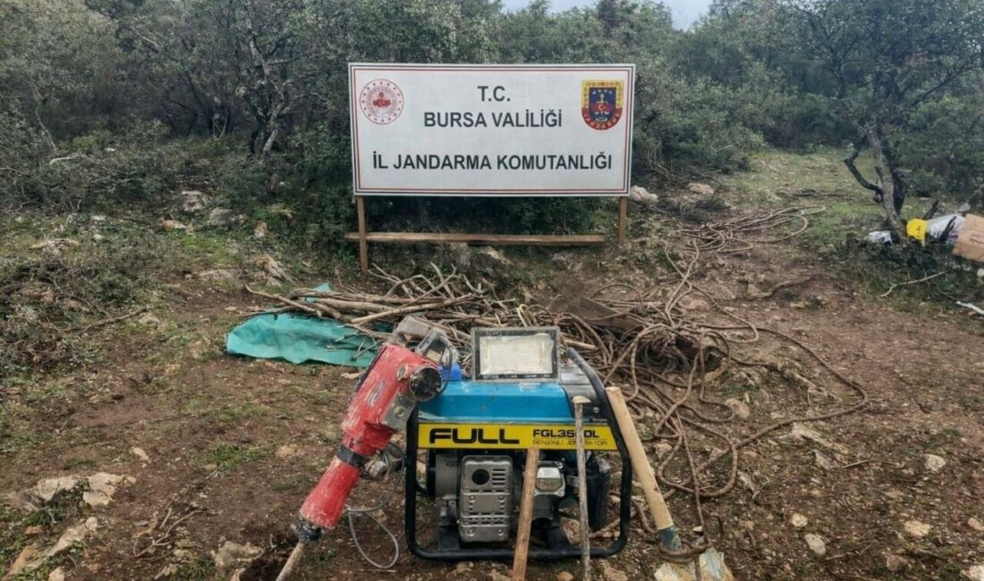 Bursa’nın İznik ilçesine bağlı Elbeyli Mahallesi’nde ormanlık alanda kaçak kazı