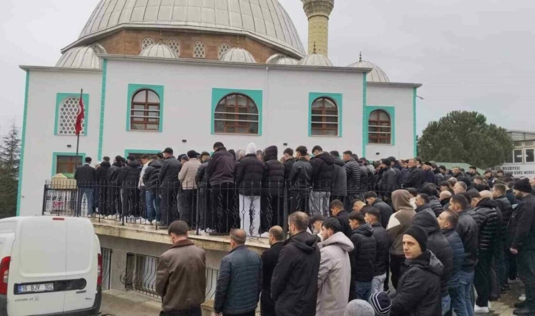 Bursa’da kontrolden çıkan otomobilin reklam panosuna çarptığı kazada hayatını kaybeden