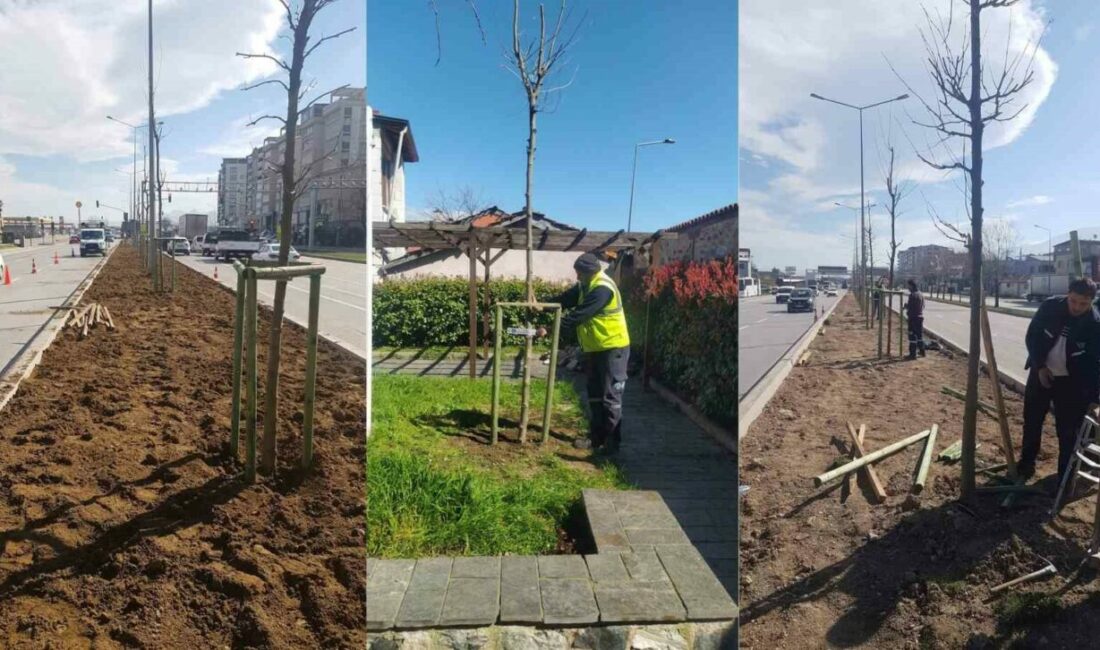 Bursa Büyükşehir Belediyesi tarafından ‘Bursa’nın Fethinin 700. Yılı’ kapsamında önemli