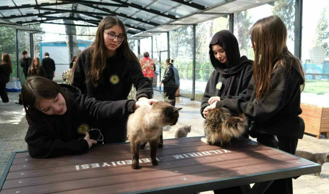 Yıldırım Belediyesi, Cumalıkızık Sahipsiz Hayvan Bakımevi ve Tedavi Merkezi ile