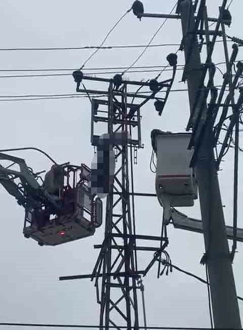 Bursa’da hırsızlık için çıktığı elektrik direği sonu oldu -Bursa’da, iddiaya göre, hırsızlık yapmak için elektrik direğine çıkan bir