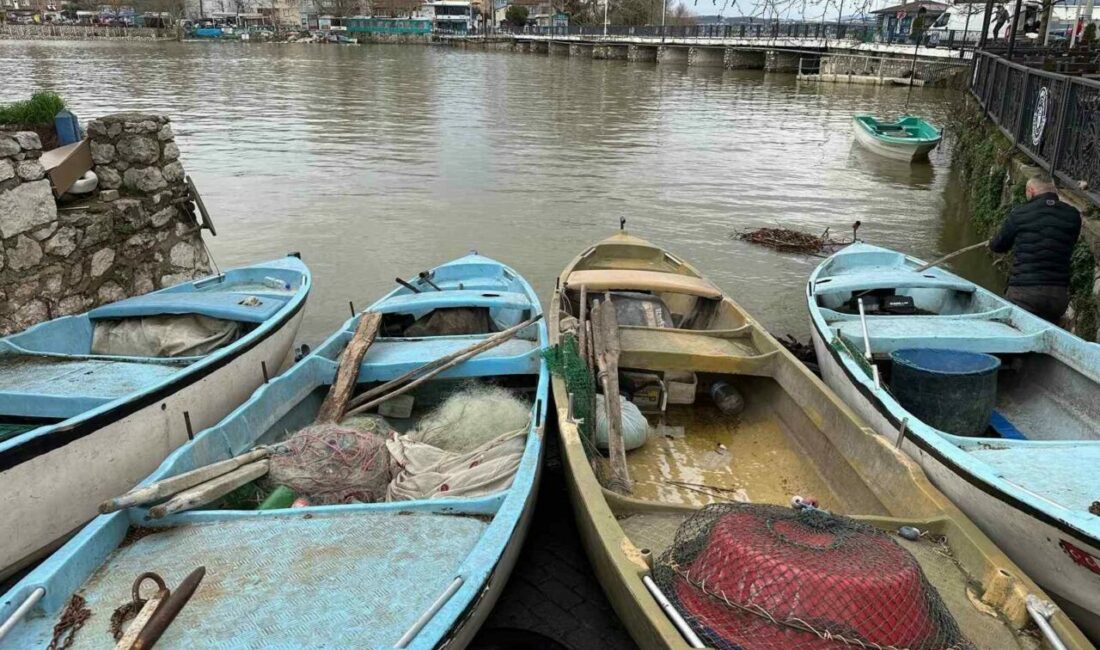 İstilacı İsrail sazanları balıkçılara gelir kaynağı oldu Bursa’daki Uluabat Gölü’nde avlanan İsrail sazanı, Suriye ve Irak’a ihraç