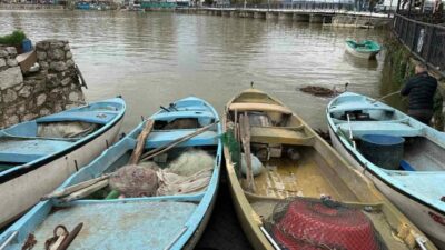 Bursa’daki Uluabat Gölü’nde avlanan İsrail sazanı, Suriye ve Irak’a ihraç