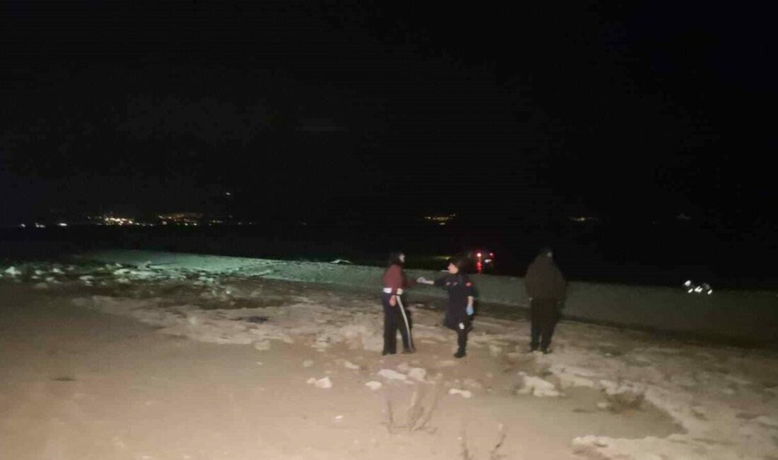 Bursa’nın Orhangazi ilçesinde meydana gelen trafik kazasında kontrolden çıkan otomobil