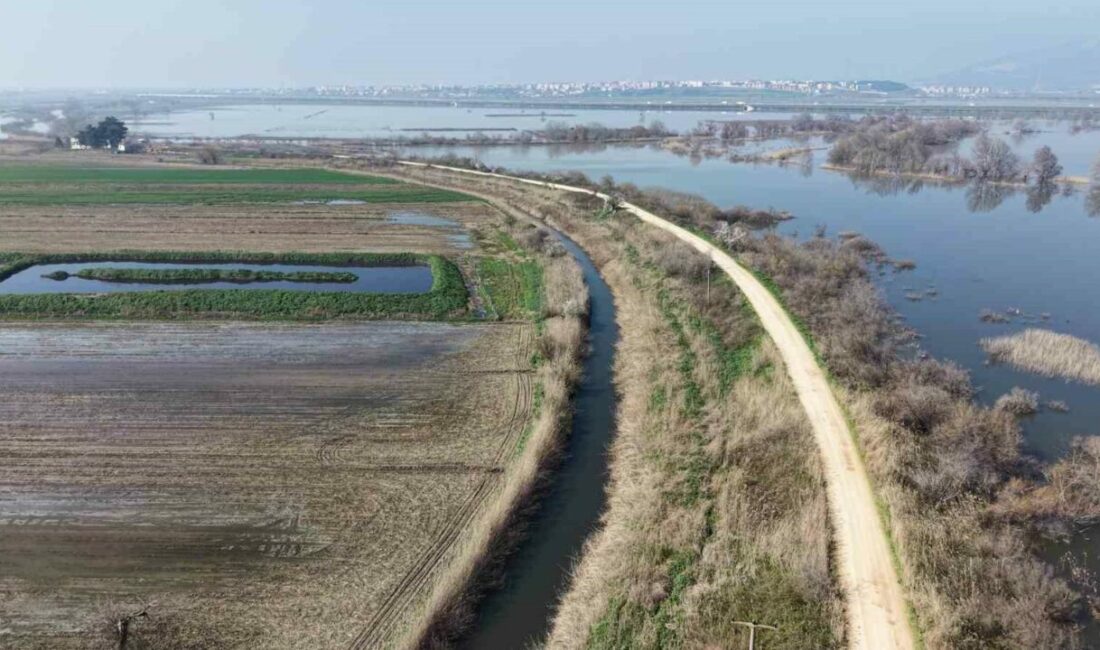 Karacabey çiftçisi yeni sezon ekimleri için suların çekilmesini bekliyor Bursa’nın Karacabey ilçesindeki çiftçiler, yeni sezon ekim için tarım alanlarını