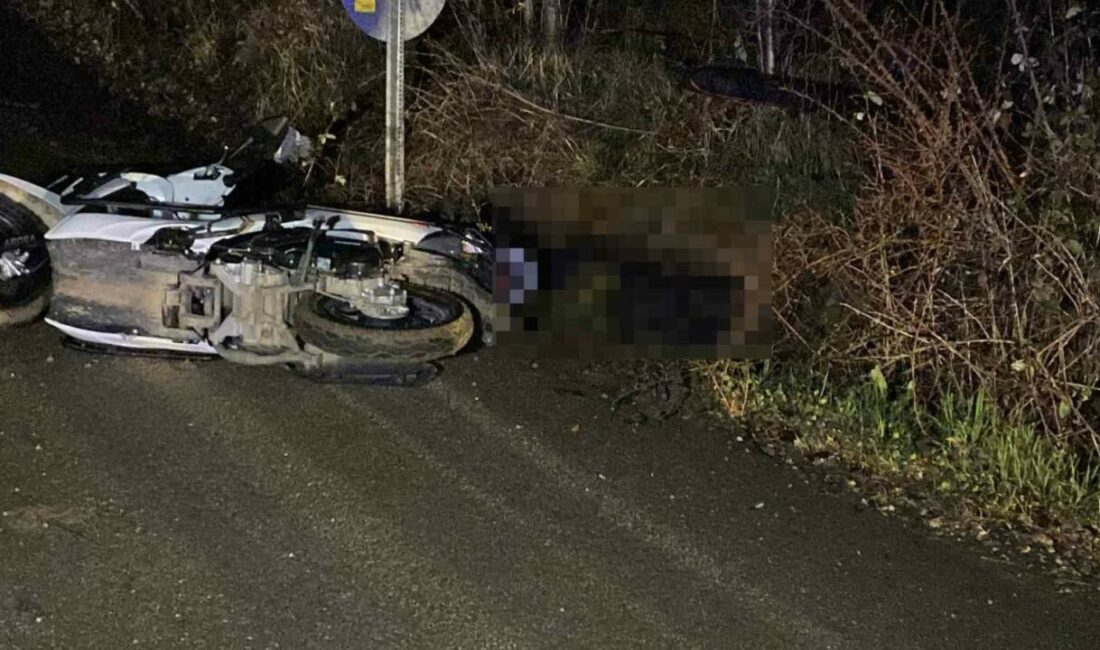 Bursa’nın İnegöl ilçesinde meydana gelen kazada kontrolden çıkan motosiklet devrildi,