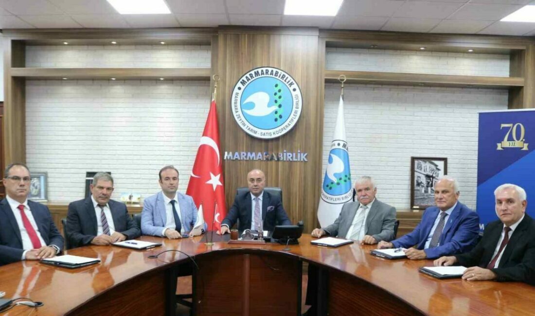 Marmara Zeytin Tarım Satış Kooperatifleri Birliği (Marmarabirlik), 2025-2026 iş yılı