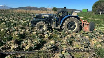 Bursa kent merkezindeki pazar yerlerinde lahananın tanesi 50 ile 70