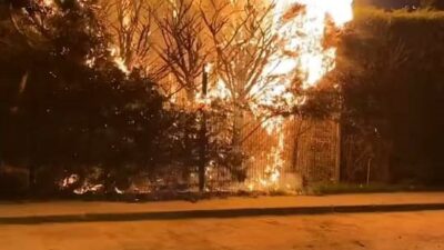 Bursa’nın İnegöl ilçesinde bulunan Botanik Park’ta çıkan yangında bir ağaç