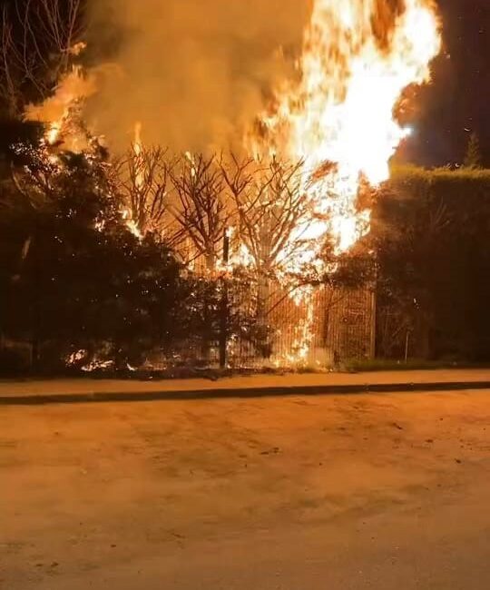 Bursa’nın İnegöl ilçesinde bulunan Botanik Park’ta çıkan yangında bir ağaç