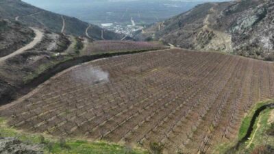 Bursa’nın Gürsü ilçesinde geçen yıl çıkan yangında yüksek kesimlerde alevlerin