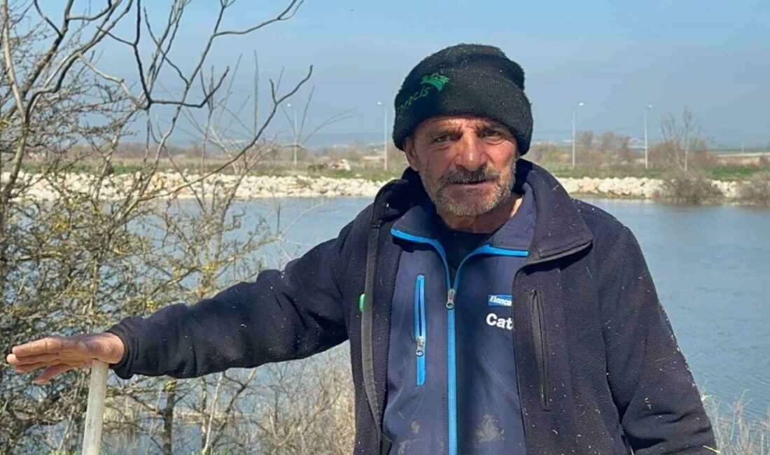 Süt inekçiliğinden dört çocuğunu büyüterek üniversitede okuttu Bursa’nın Karacabey ilçesinde 22 yıldır süt inekçiliği yapan 62 yaşındaki