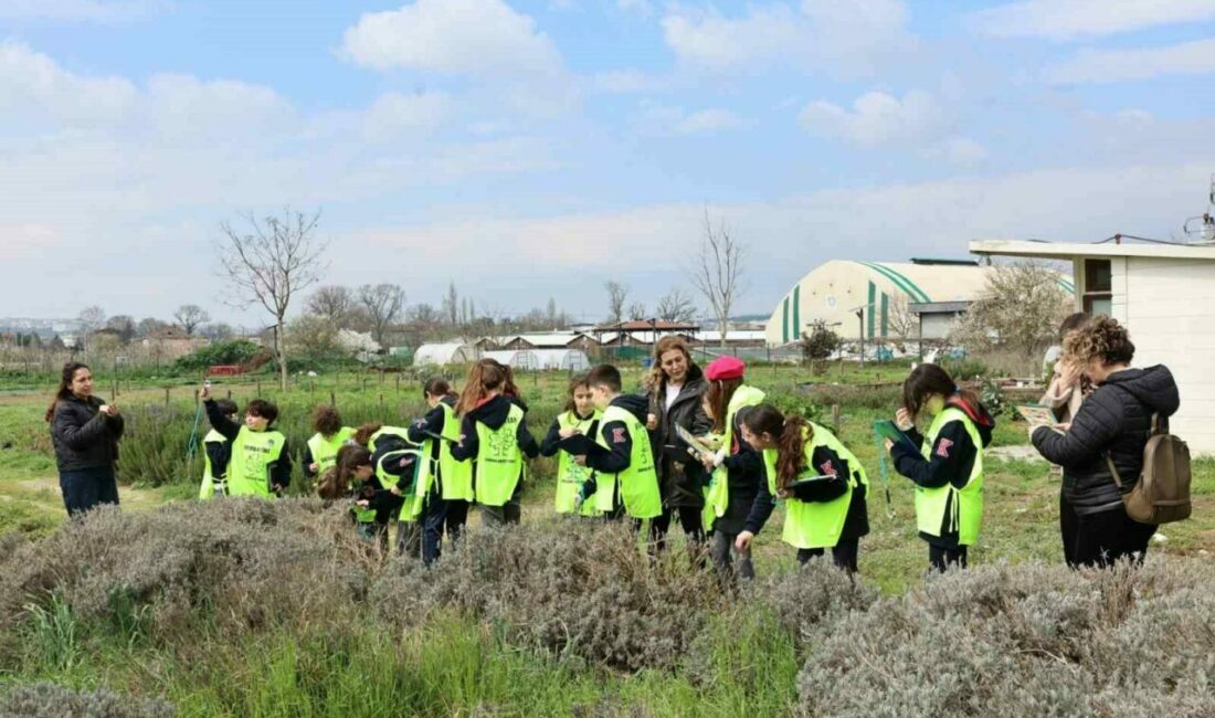 Ürünlü’de doğa sevgisi yeşeriyor Nilüfer Belediyesi’nin “Bostan Kaşifleri” projesiyle toprakla bağ kuran 15 öğrenci,