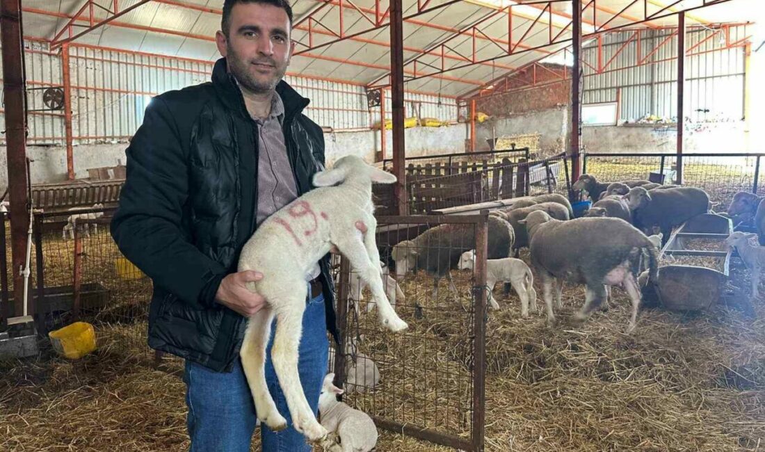 Balıkesir’in Manyas ilçesine bağlı kırsal Eşen Mahallesi’nde 57 önce kuralan