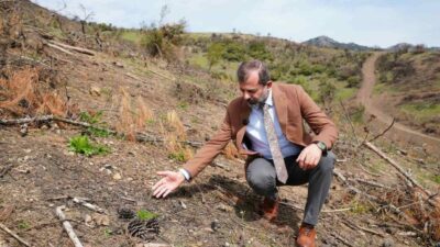 Gürsu’da geçtiğimiz yaz yaşanan büyük yangından sonra yapılan yeşillendirme çalışmaları