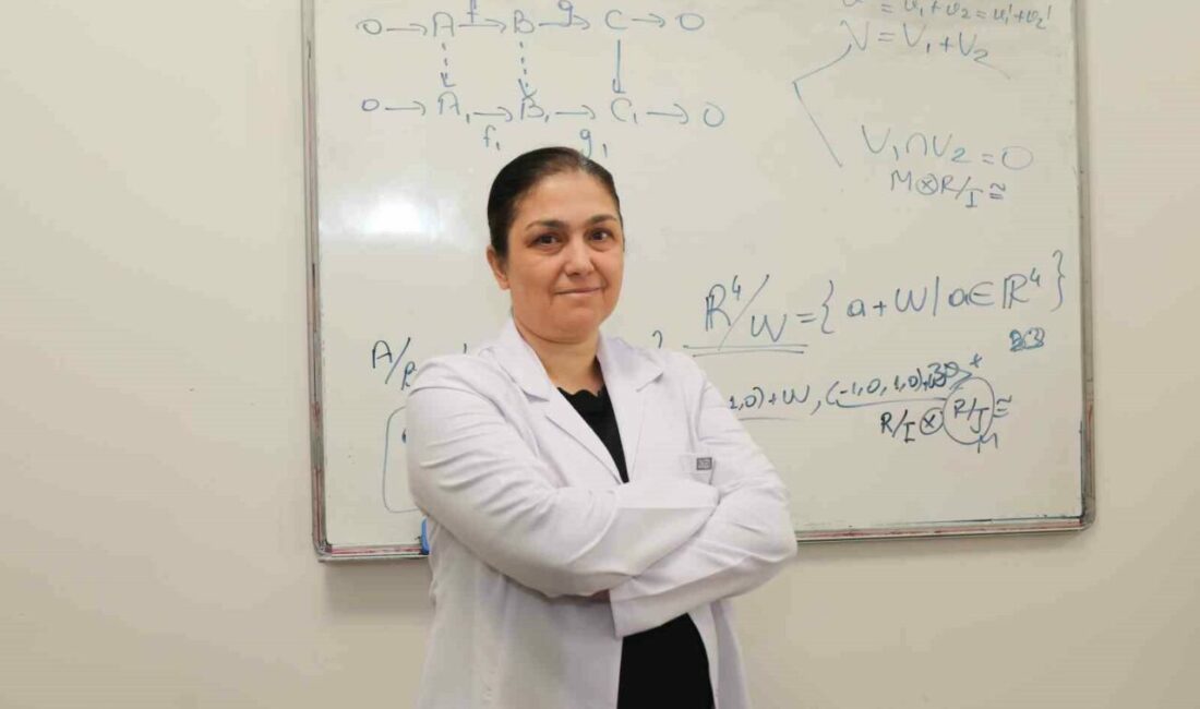 Bursa Teknik Üniversitesi ve Hacettepe Üniversitesi akademisyenleri matematik literatürüne katkı