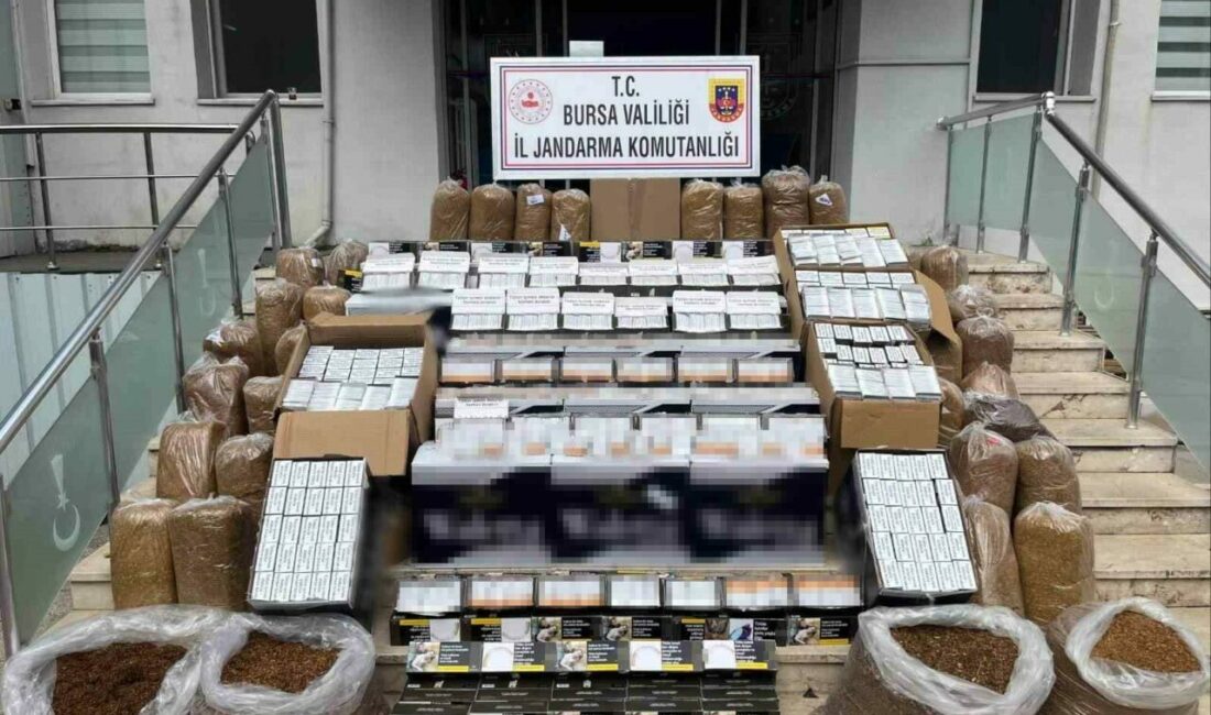 Bursa’da kaçak tütün operasyonu: 205 bin adet makaron ele geçirildi Bursa’nın Gemlik ilçesinde jandarma ekipleri düzenlenen operasyonda 205 bin adet