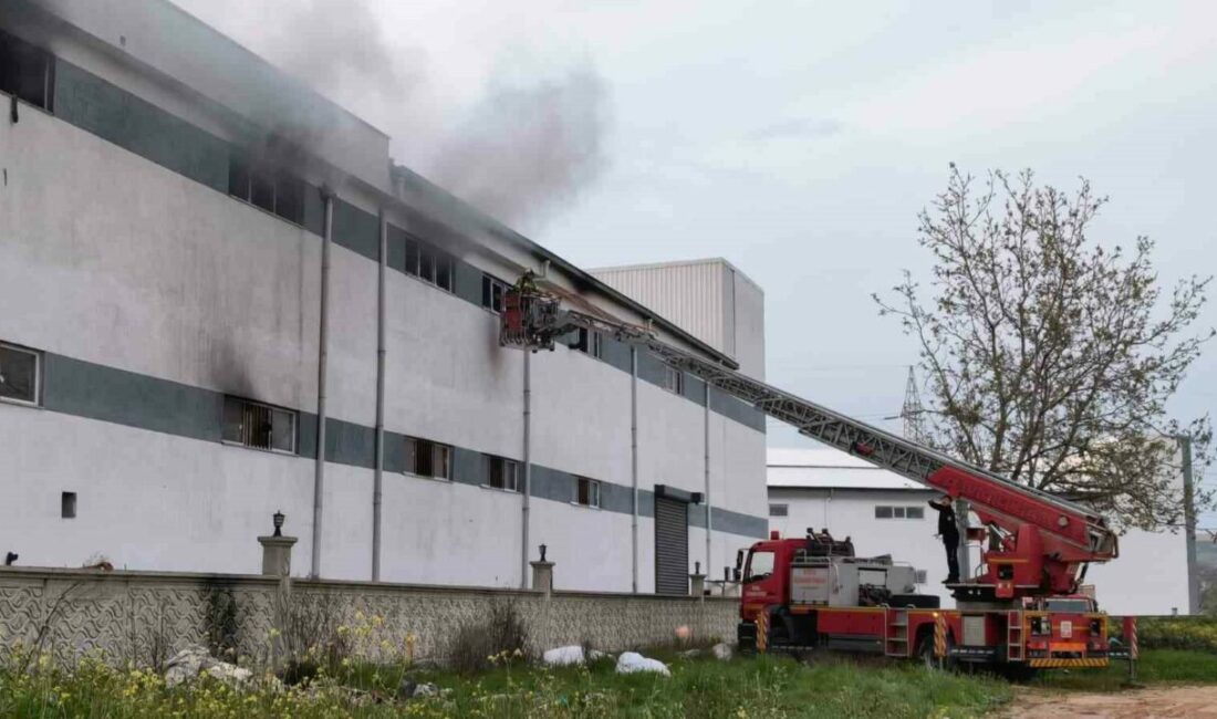 Bursa’da mobilya fabrikasında korkutan yangın Bursa’nın İnegöl ilçesinde bir mobilya fabrikasında yangın çıktı. Alevler, itfaiye