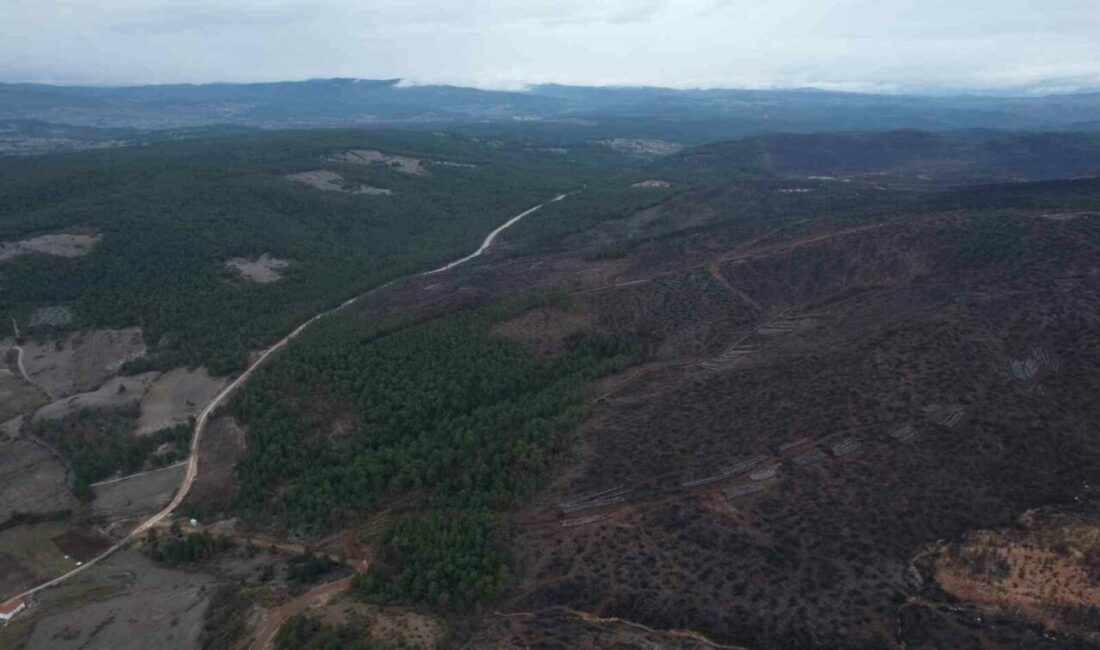Bursa’da yakın tarihin en büyük orman yangınlarından birisi olan ve
