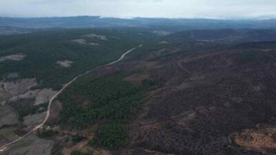 Bursa’da yakın tarihin en büyük orman yangınlarından birisi olan ve