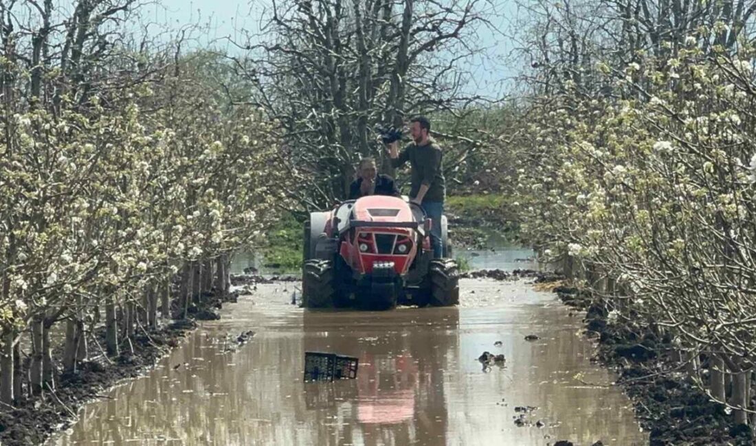 Bursa’nın Gürsu ilçesinde yüzlerce dönüm şeftali ve armut bahçesi su