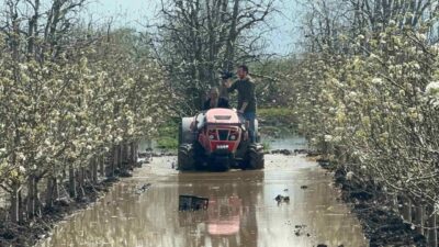 Bursa’nın Gürsu ilçesinde yüzlerce dönüm şeftali ve armut bahçesi su