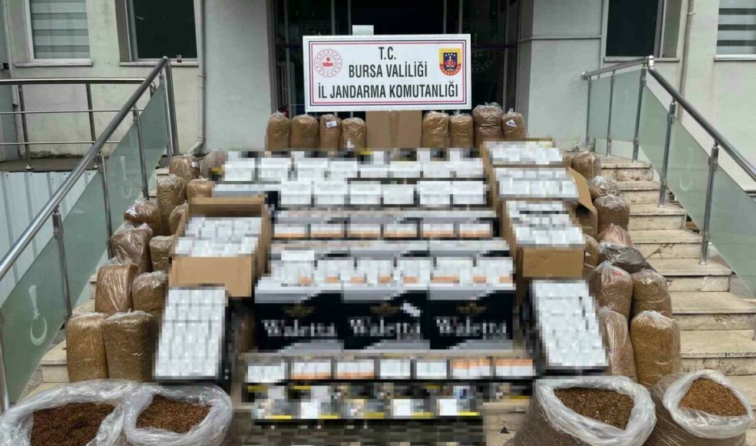 Bursa’nın Gemlik ilçesinde kaçak tütün ve sigara ticaretine yönelik yürütülen