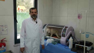 Gürsu Belediyesi’nin, 80 dönümlük mesire alanı içinde yapımını bitirdiği Butik