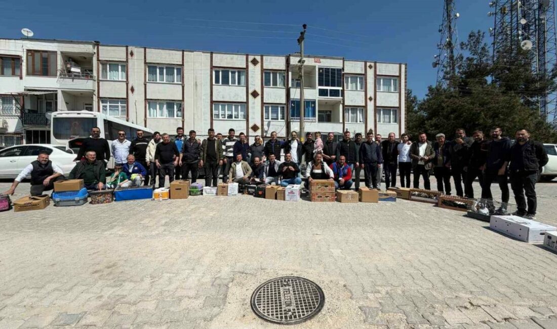Bursa’nın Mustafakemalpaşa ilçesinde ilk kez düzenlenen toplu güvercin salımı etkinliği,
