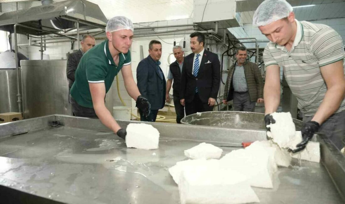 Her gün 3,5 ton sütten 12 çeşit peynir üretiyorlar Yenişehir Belediye Başkanı Ercan Özel, ilçenin köklü üretim değerlerinden Orhaniye