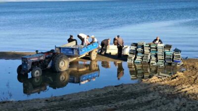 Türkiye’nin en büyük 5.gölü olan İznik Gölü’nde gümüş balığı sezonu