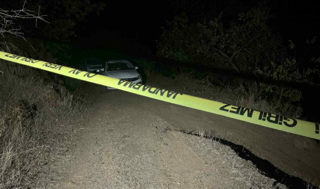 Türkiye son dönemde ardı ardına gelen çocukların işlediği vahşet haberleriyle