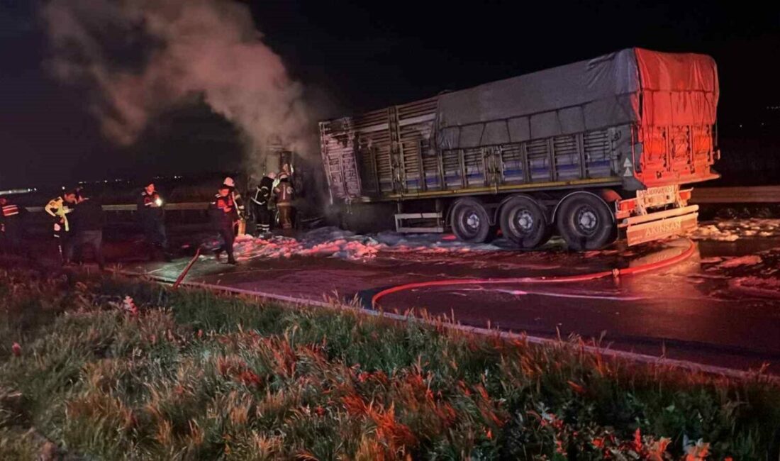 Karacabey’de tır yangını: Bursa yolu trafiğe kapandı Bursa’nın Karacabey ilçesi Uluabat mevkiinde seyir halindeki bir tırda çıkan