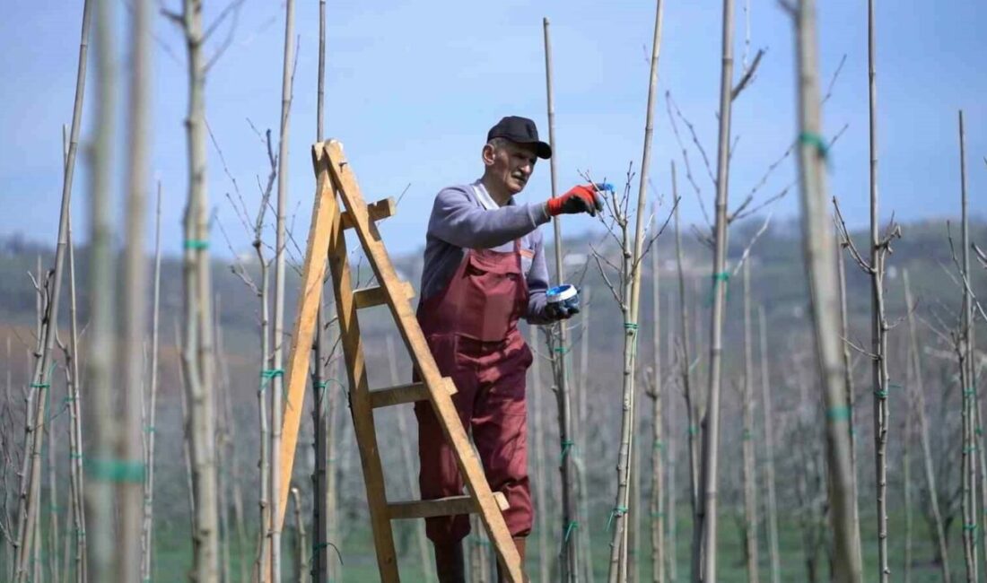 Kestel’de bahar mesaisi Kestel Belediyesi, bahar mevsimi öncesinde ilçe genelinde başlattığı peyzaj, temizlik
