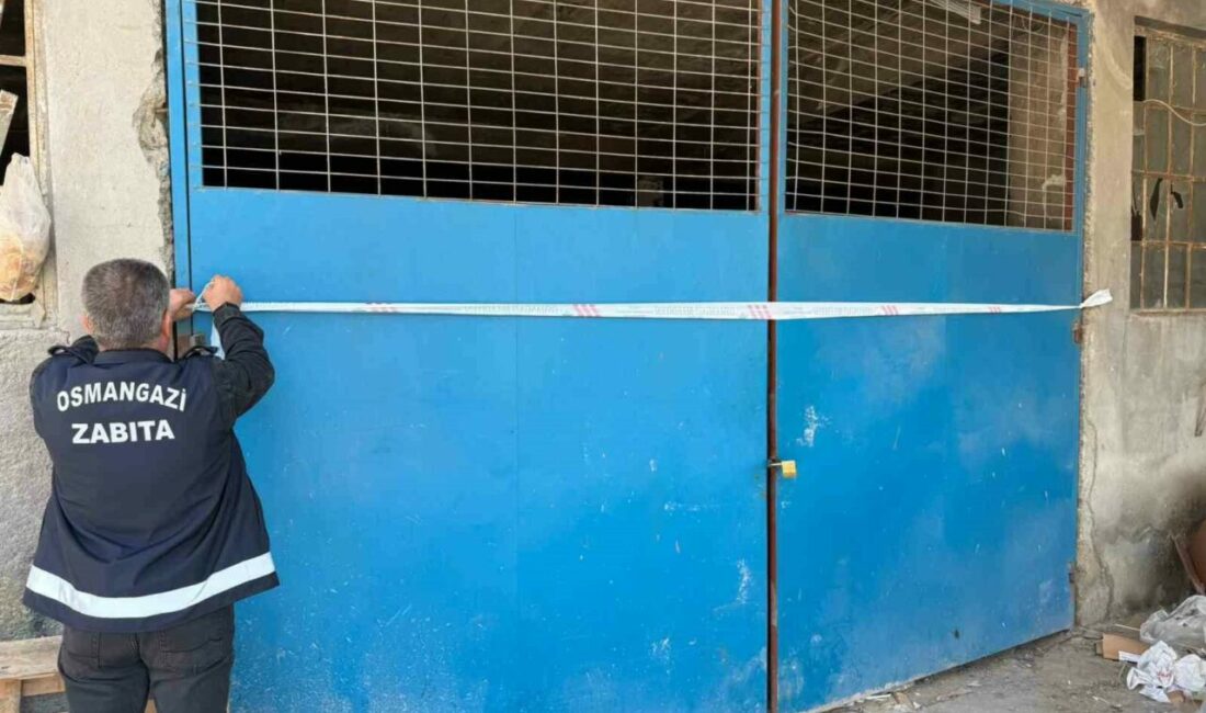 Osmangazi Belediyesi Zabıta Müdürlüğü ekipleri tarafından yürütülen titiz inceleme ve