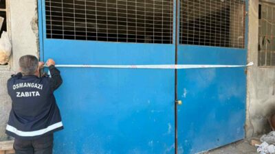 Osmangazi Belediyesi Zabıta Müdürlüğü ekipleri tarafından yürütülen titiz inceleme ve