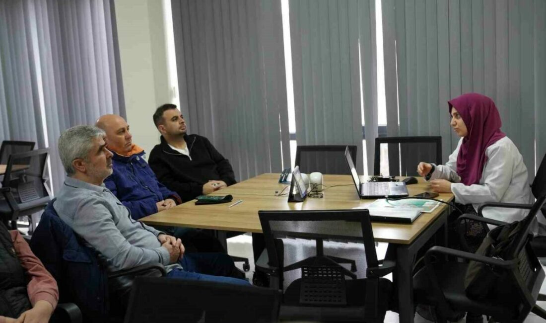 Gürsu Belediyesi Kollektif Kariyer Merkezi, son yıllarda giderek popülerleşen ve