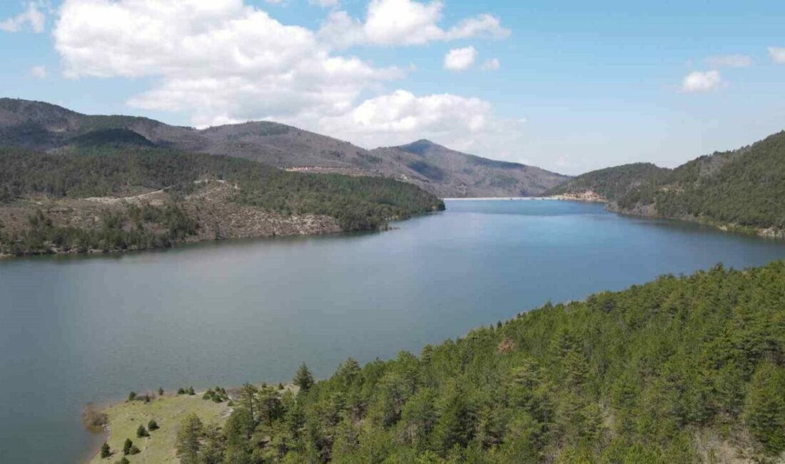 Bursa’nın önemli içme suyu kaynaklarından Nilüfer Barajı’nda son dönemde etkili