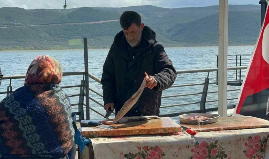 Ulubat Gölü’nde su çok olunca yakalanamayan turna sezonu pahalı açıldı Bursa’da Uluabat Gölü’ndeki su miktarının artması, buna bağlı balığın az çıkması