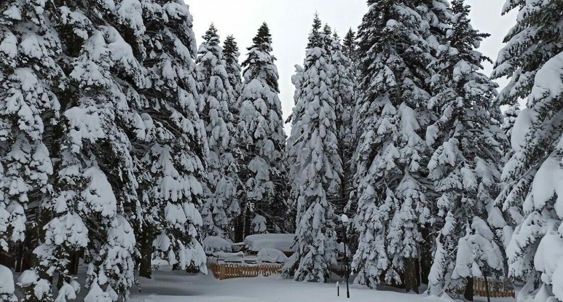 Türkiye’nin en önemli kış ve doğa turizm merkezlerinden biri olan