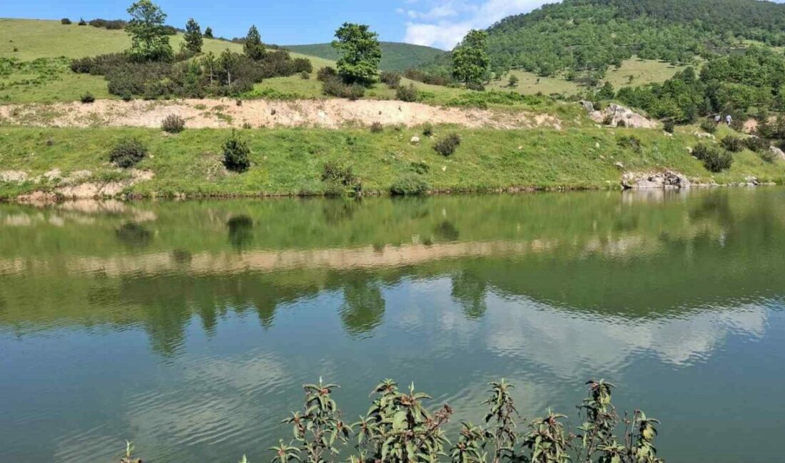 Bursa’da arkadaşlarıyla girdiği gölette can verdi Bursa’da arkadaşlarıyla birlikte sulama göletine giren çocuğun cansız bedenine ulaşıldı.