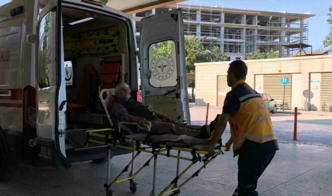 Bursa’da Kurban Bayramı’nın ilk saatleriyle birlikte her yıl yaşanan ’acemi