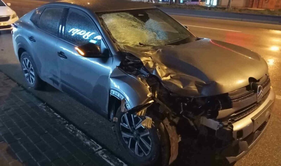 Bursa’da alkollü bir sürücünün çarptığı yaya, kaldırıldığı hastanede hayatını kaybetti.