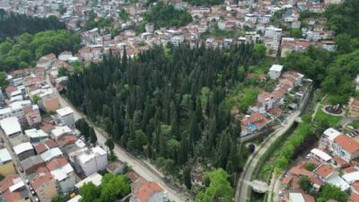 Bursa Büyükşehir Belediyesi, Kurban Bayramı öncesinde şehir genelindeki mezarlıklarda kapsamlı