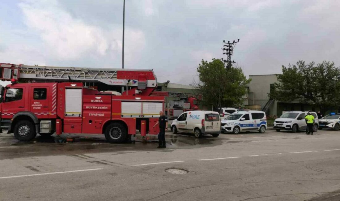 Bursa’da sunta fabrikasında korkutan yangın Bursa’nın İnegöl ilçesinde faaliyet gösteren bir sunta fabrikasında yangın çıktı.
