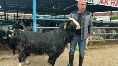 Kurban Bayramı arifesinde hareketliliğin zirve yaptığı Yıldırım ilçesindeki İsabey Kurban