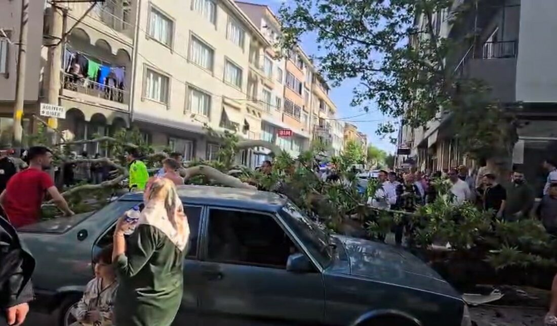 Bursa’nın Karacabey ilçesinde devrilen ağacın altında kalan motosiklet sürücüsünün durumunun