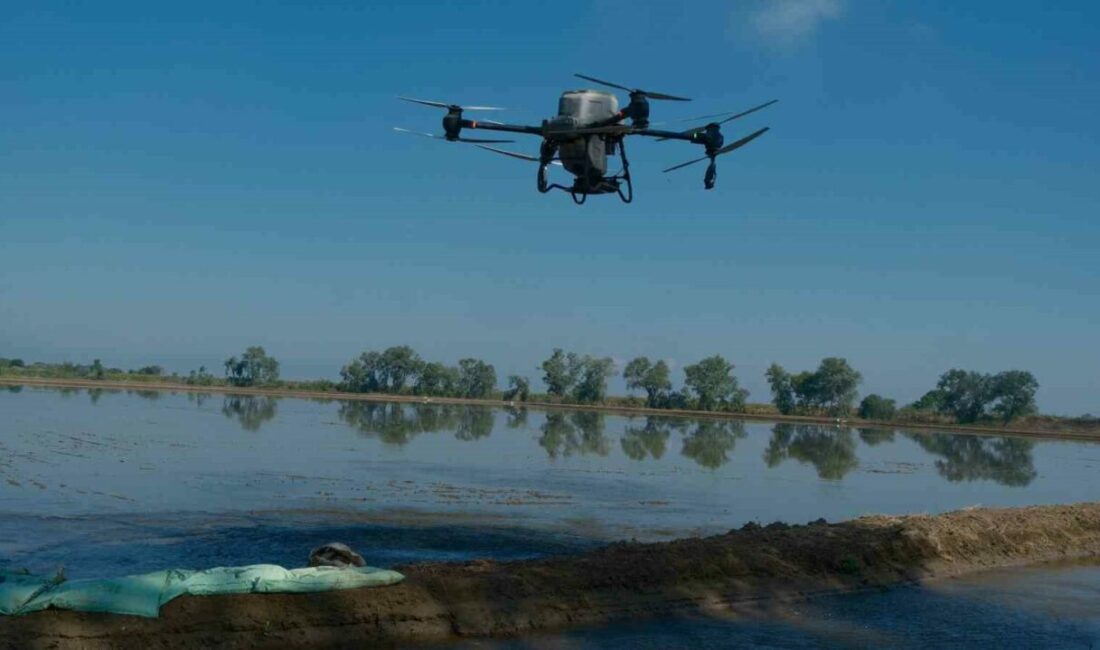 Dron ile çeltik ekimi Bursa’nın yaklaşık 30 bin dekar alanda çeltik üretimi yapılan Karacabey