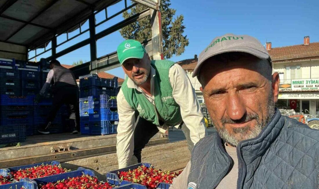 Bursa’nın İznik ilçesine bağlı Orhaniye Mahallesi’nde mevsimin ilk karabodur kirazı