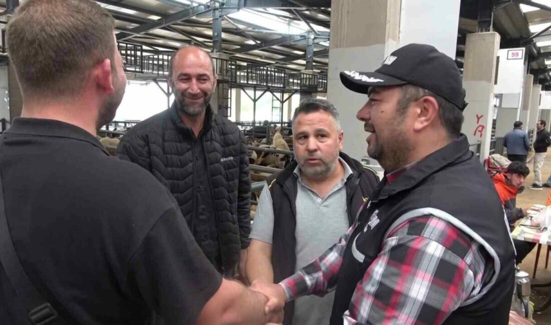 Kurban pazarında güldüren anlar :Mali Polis çetin pazarlığa dahil oldu Bursa’da Kurban Bayramı öncesi hareketliliğin arttığı hayvan pazarlarında, Kaçakçılık ve